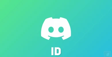 discord usuario id